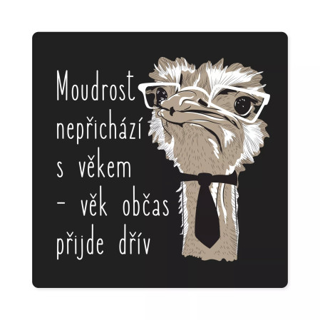 detail Albi Pánské Humorné tričko - Moudrost nepřichází s věkem, vel. L
