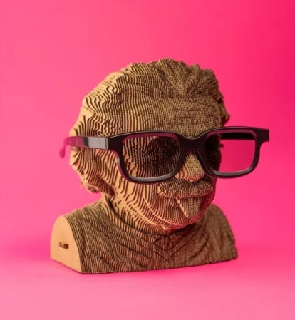 detail Cartonic 3D PUZZLE - Albert EINSTEIN, 172 dílků, LEVEL4