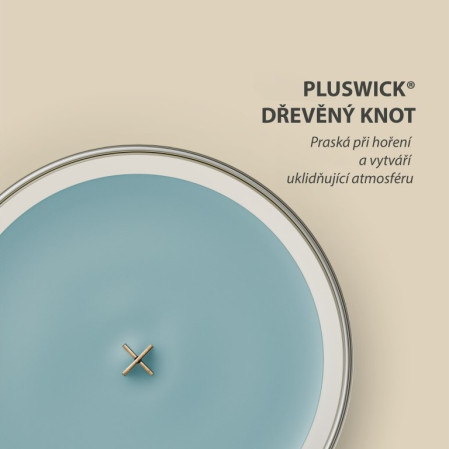 detail WoodWick CEDAR WOOD & OCEAN MOSS, malá svíčka 85g