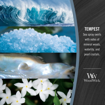 detail Vonná svíčka WoodWick TEMPEST široký knot 453 g