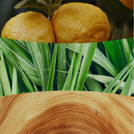 detail Vonná svíčka WoodWick YUZU & VETIVER, široký knot 453g
