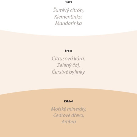 detail Vonná svíčka TANGERINE & CITRON, široký knot 453g