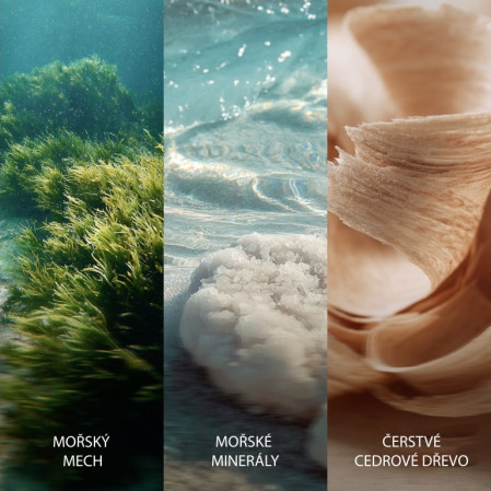 detail Vonná svíčka WoodWick Cedarwood & Ocean Moss, široký knot 453 g