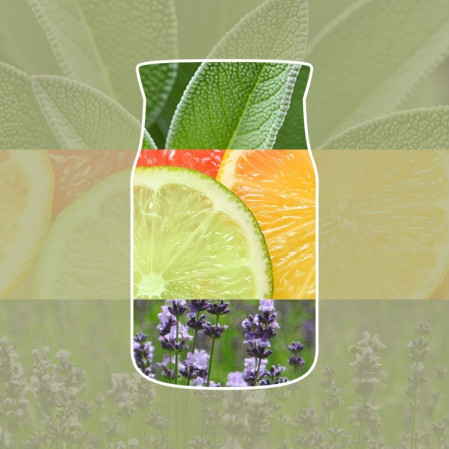 detail Yankee Candle Reed difuzér Sage & Citrus, 100 ml