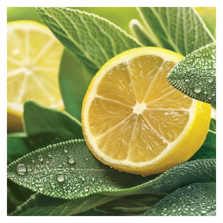 detail Yankee Candle Sage & Citrus, signature malá svíčka 110 g