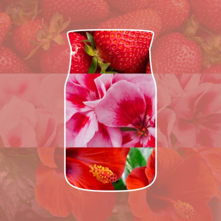 detail Yankee Candle CLIFFSIDE SUNRISE, signature velká svíčka 567g