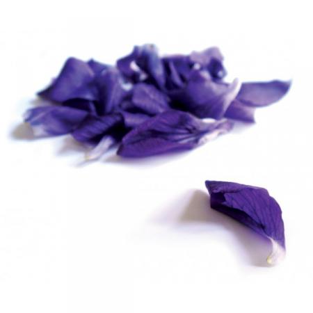 detail Les ANIS de Flavigny Bonbónky ORIGINAL ANIS® 50g Fialka