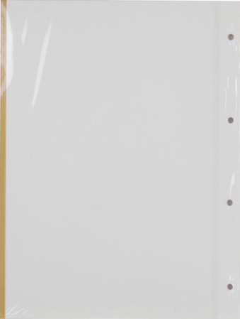 detail Náhradní samolepicí listy do FS-50 fotoalb - 10 ks listů