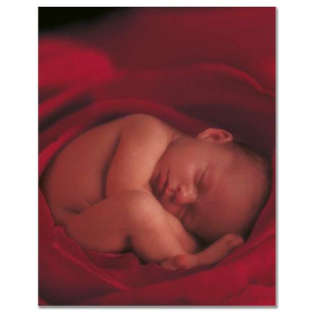 detail KNIHA MÝCH PRVNÍCH PĚT LET Anne Geddes FLOWER X-large
