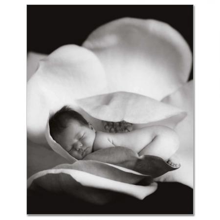 detail KNIHA MÝCH PRVNÍCH PĚT LET Anne Geddes FLOWER X-large