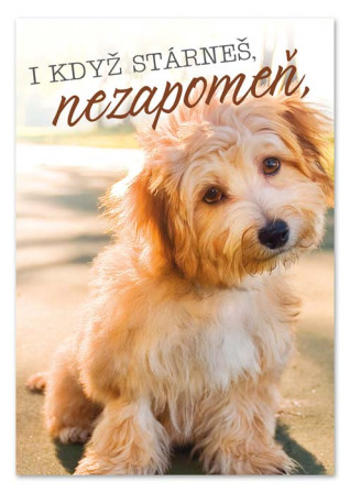 detail Ditipo Hrací přání PŘÁTELSTVÍ NA N-TOU / Petr Novák