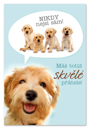 detail Ditipo Hrací přání PŘÁTELSTVÍ NA N-TOU / Petr Novák