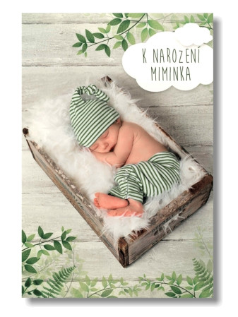 detail Nekupto hrací přání Z MECHU A KAPRADÍ / Josef Svejkovský