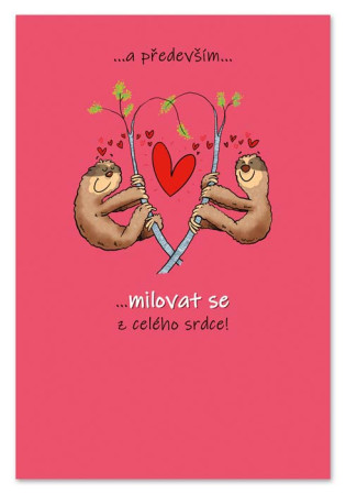 detail Ditipo Hrací přání svatební ... TY A JÁ / Kryštof