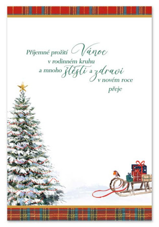 detail Ditipo Hrací přání vánoční ROK A DEN (Last Xmas) / Lunetic