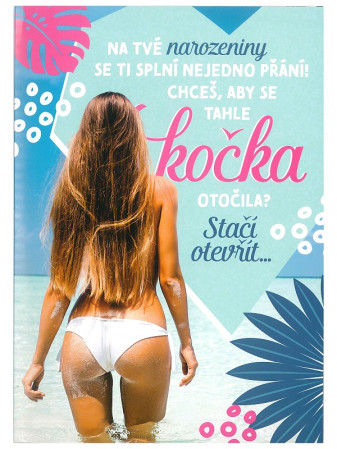 detail Albi Hrací přání KOČKA - HEY BOY / Verona