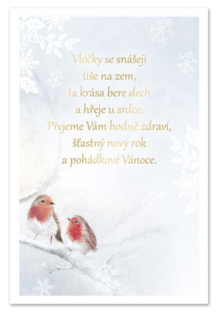 detail Ditipo Hrací přání TŘI OŘÍŠKY / melodie