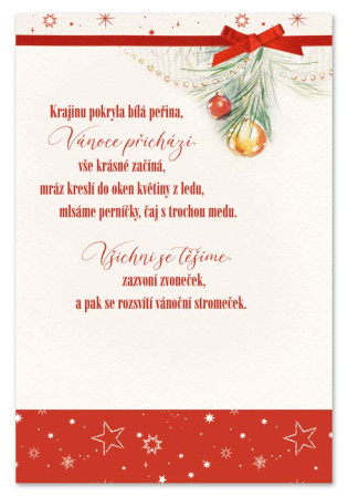 detail Ditipo Hrací přání s efektem VÁNOČNÍ / Míša Růžičková