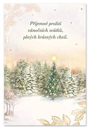 detail Ditipo Hrací přání s efektem Alžbětínská serenáda / melodie