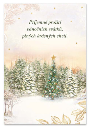 detail Ditipo Hrací přání s efektem Alžbětínská serenáda / melodie