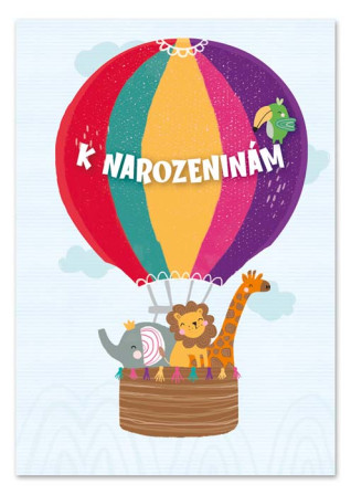 detail Ditipo Hrací přání NAROZENINOVÁ / Míša Růžičková