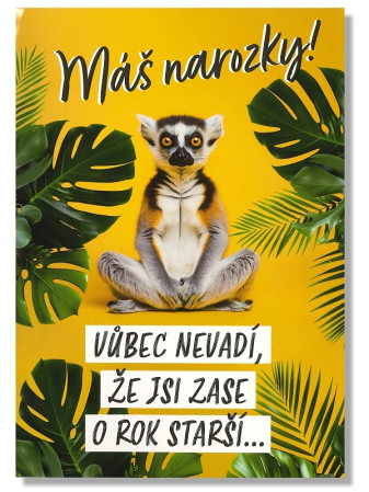 detail Albi Hrací přání Vůbec nevadí, že jsi .... / OUTCAST HEY YA, cover verze