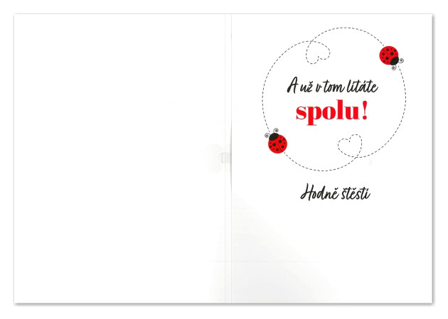 detail Albi Hrací přání K Vaši svatbě / Bruno Mars MARRY YOU