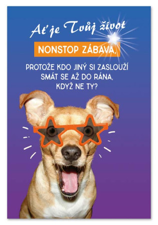 detail Ditipo Hrací přání narozeninové Nonstop / Michal David