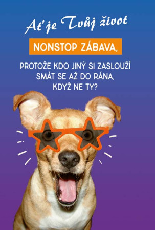 detail Ditipo Hrací přání narozeninové Nonstop / Michal David