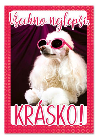 detail Ditipo Hrací přání TEĎ KRÁLOVNOU JSEM JÁ / Bára Basiková (pudl)