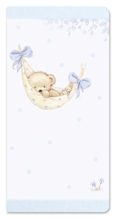 detail Ditipo Přání s kapsou na peníze - K narození chlapečka, 10x20cm