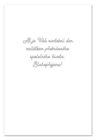detail Ditipo Blahopřání DK - NOVOMANŽELŮM VŠE NEJLEPŠÍ