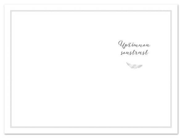 detail Ditipo Blahopřání H - Kondolence JSME S VÁMI (křídla)