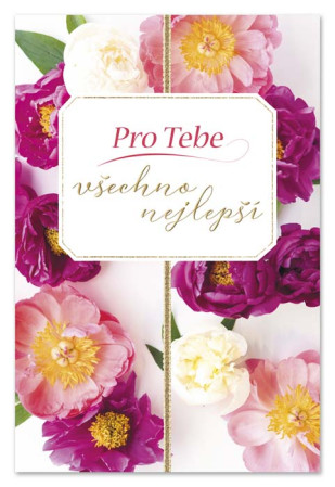 detail Ditipo Blahopřání I - PRO TEBE všechno nejlepší (dámské)