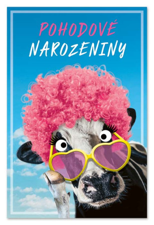 detail Ditipo Blahopřání HK - POHODOVÉ NAROZENINY