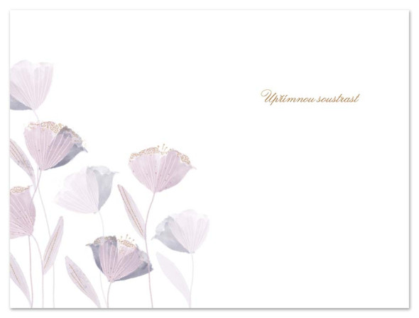 detail Ditipo Blahopřání HK - Kdo měl rád, nezapomíná (kondolence)