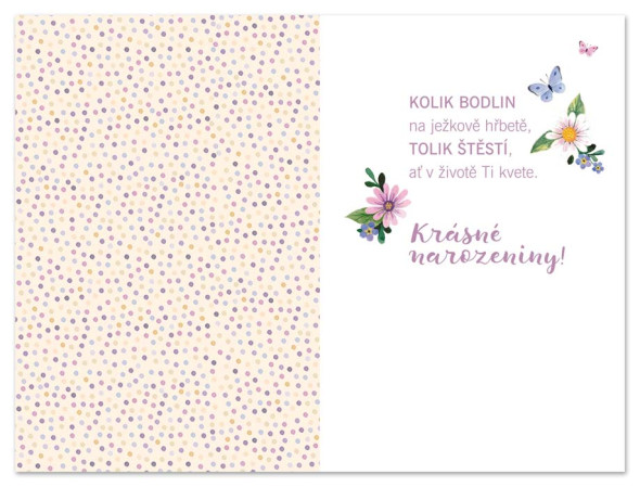 detail Ditipo Blahopřání GK - Vše nej / Pro tebe (ježek)