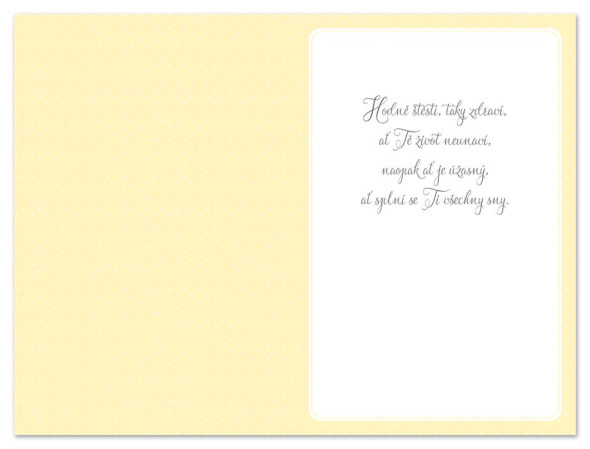 detail Ditipo Blahopřání L - Všechno nejlepší (kopretiny)