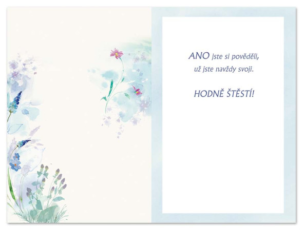 detail Ditipo Blahopřání K - Novonmanželům / velká láska