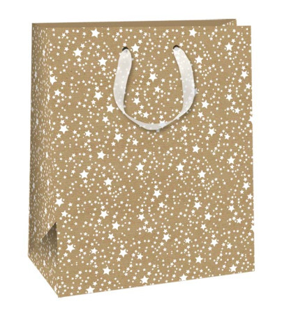 detail Ditipo Dárková taška L KRAFT AB FOAM vánoční EKO