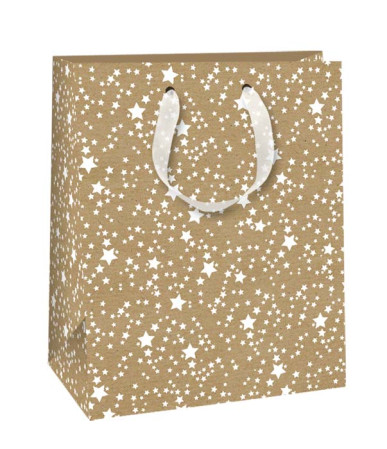 detail Ditipo Dárková taška M KRAFT C FOAM vánoční EKO