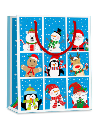 detail Alvarak Dárková taška TM - ZIMNÍ DĚTSKÁ