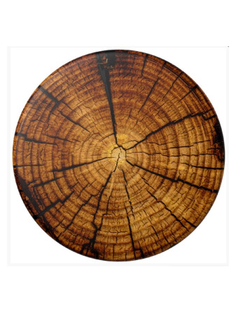 detail PopSockets PopTop Gen.2, Knotty by Nature, hnědé letokruhy, výměnný vršek