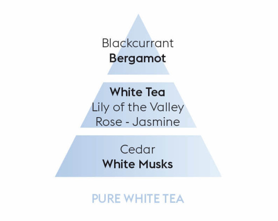 detail Maison Berger PURE WHITE TEA, náplň katalytické lampy 500ml