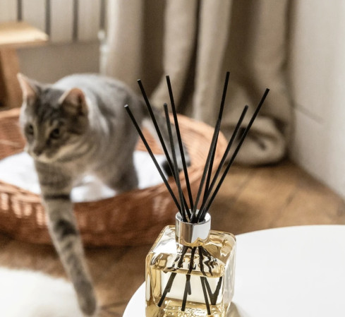 detail Maison Berger ODOUR FROM PET, difuzér proti zvířecímu zápachu 125 ml