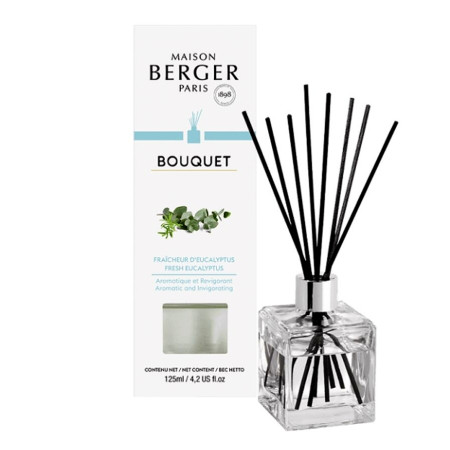 detail Maison Berger FRESH EUCALYPTUS, aroma difuzér kostka 125ml