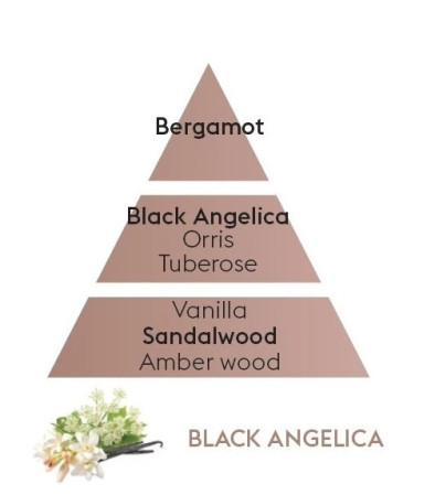 detail Maison Berger CAR - BLACK ANGELICA, keramická náplň 2ks