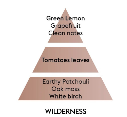 detail Maison Berger WILDERNESS, náplň do difuzéru 200ml