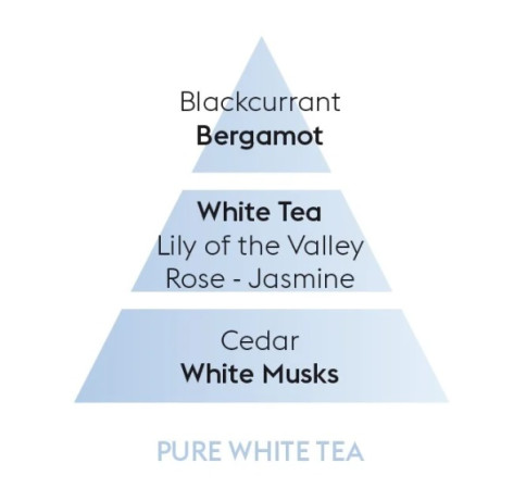 detail Maison Berger Prací gel 3v1 - WHITE TEA, 1L, bílý čaj