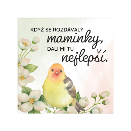 detail Albi Originální magnetka - KDYŽ SE ROZDÁVALY MAMINKY ...
